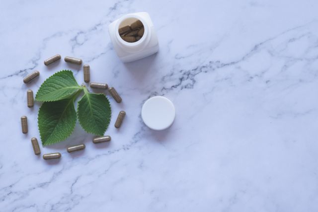 Gut health and wellness support